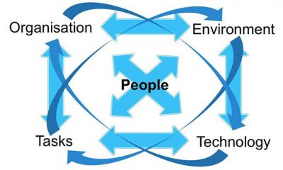 Expert Witness Introduction to Human Factors