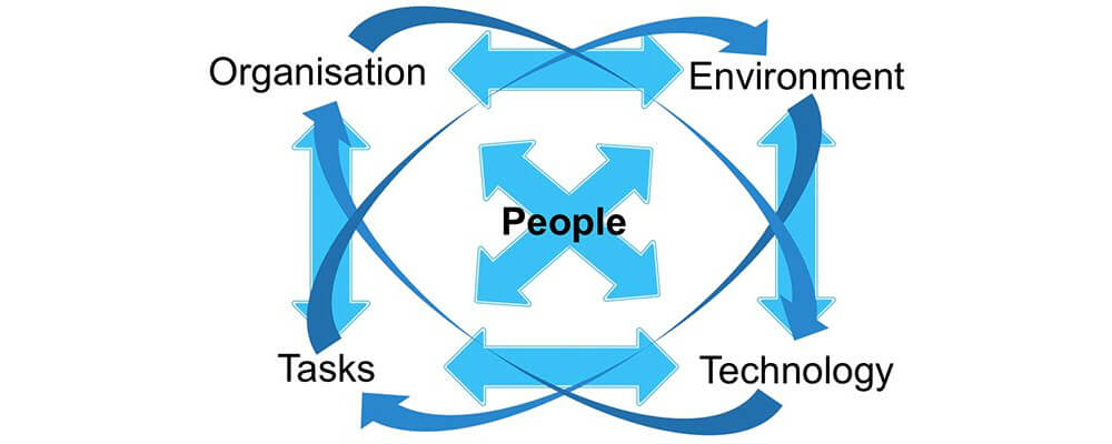 Expert Witness Introduction to Human Factors