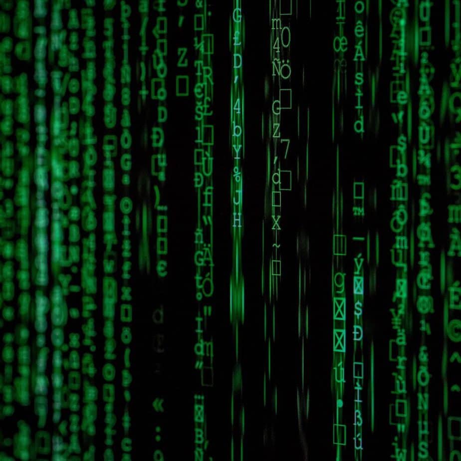 neural network expert testimony