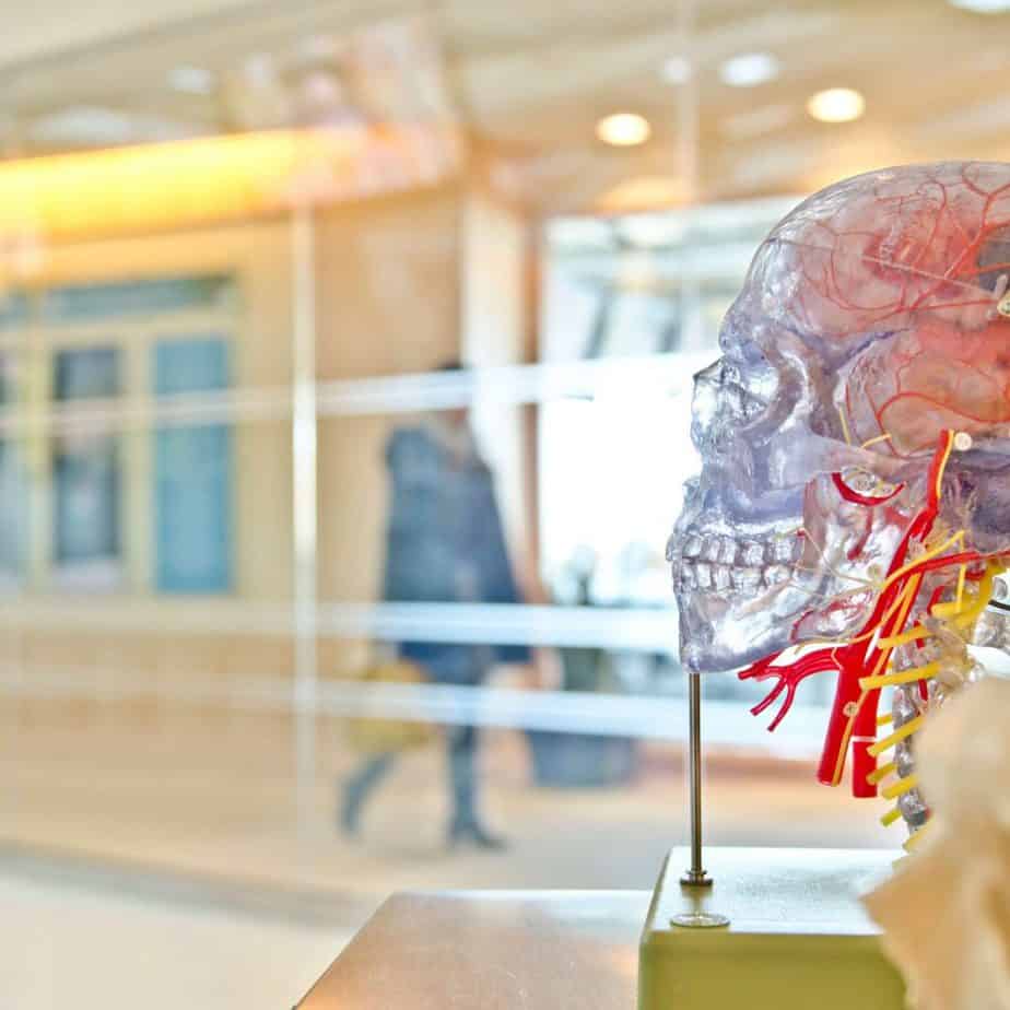 Neuropsychology Neuropsychology