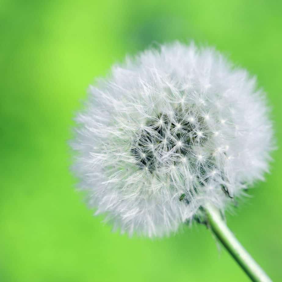 herbicides expert testimony