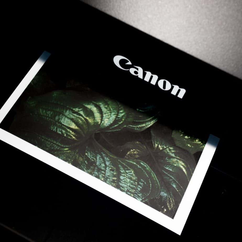 inkjet printer expert testimony