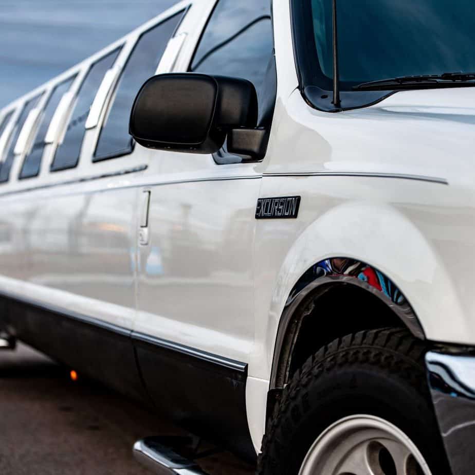 limousine expert testimony
