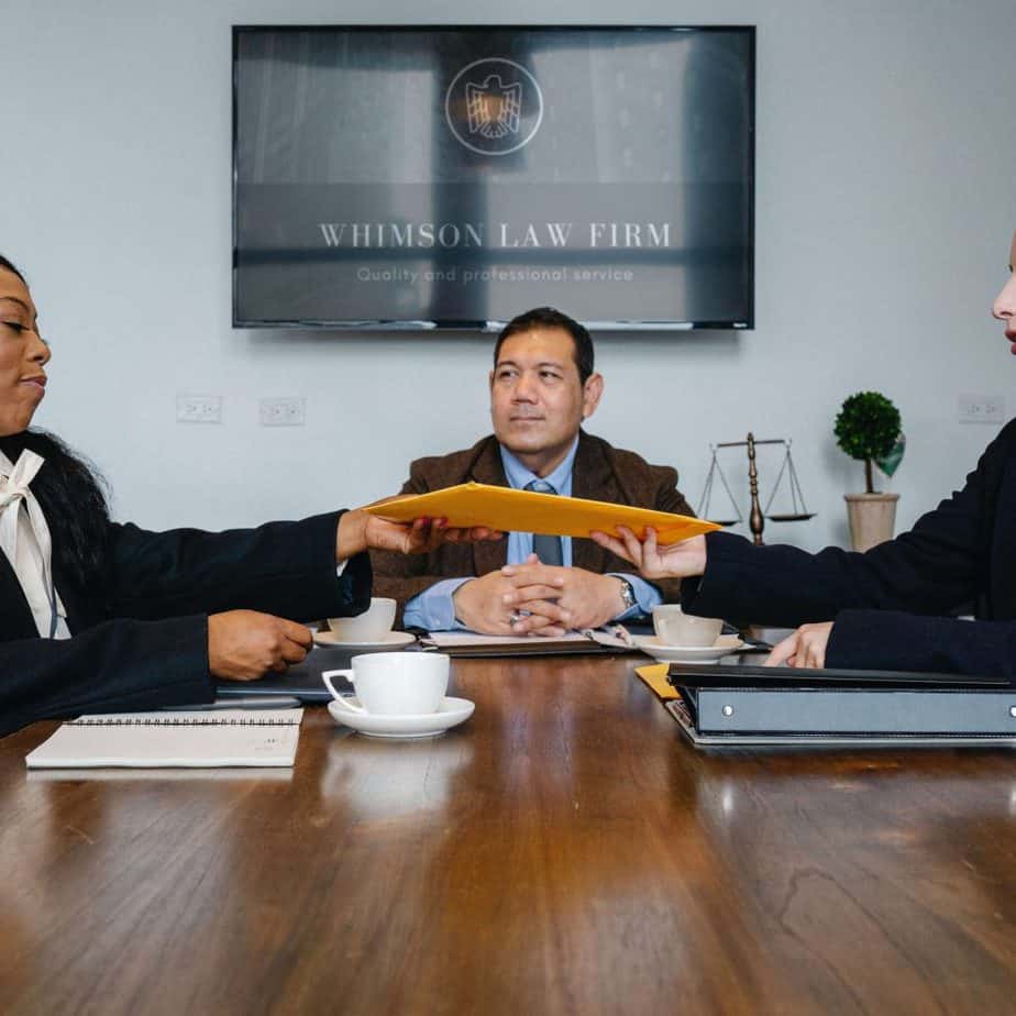 partnership disputes expert testimony