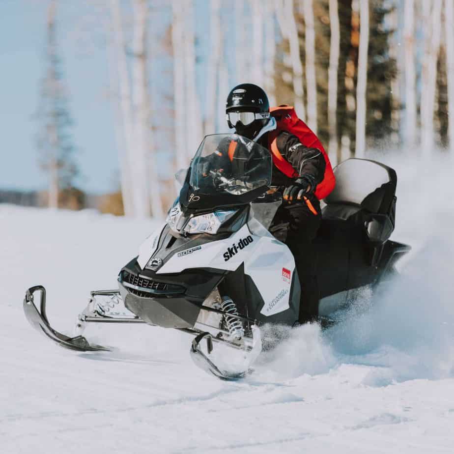 snowmobile expert testimony