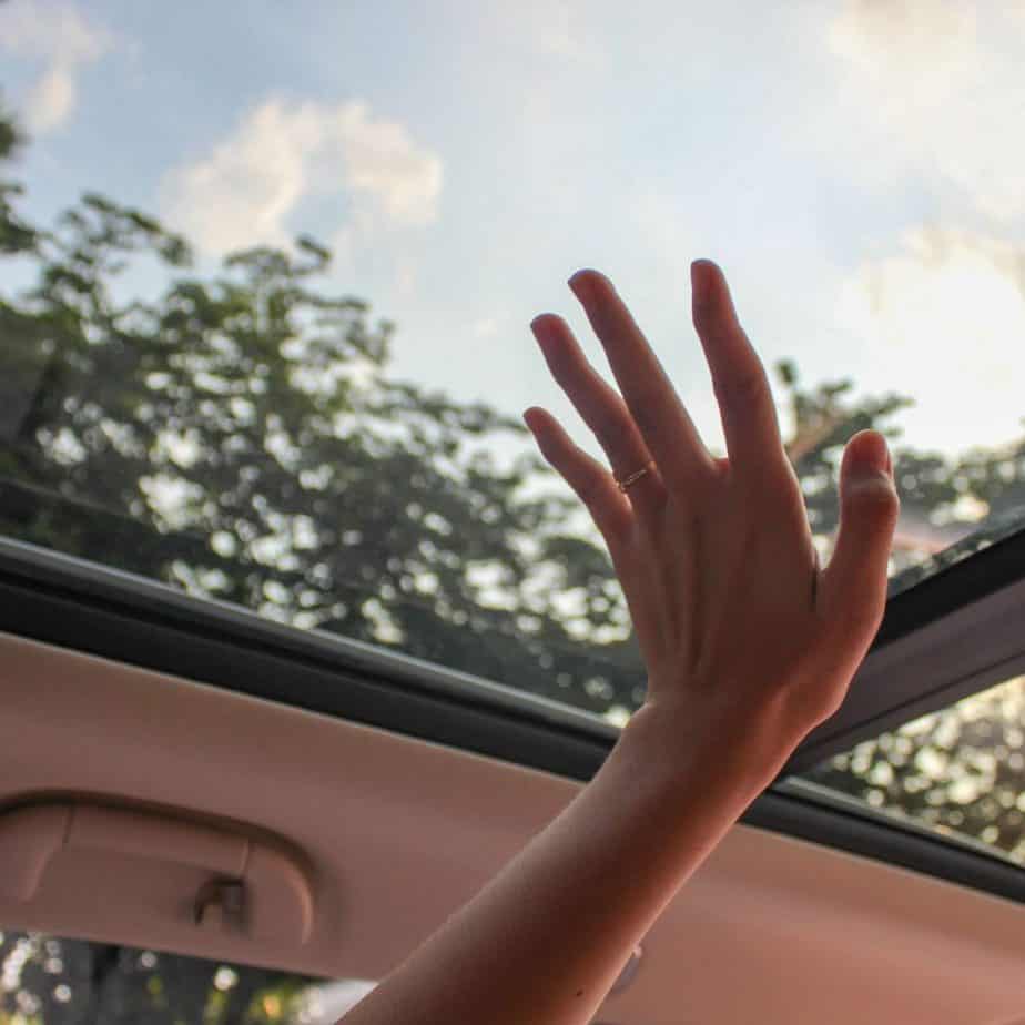 sunroof expert testimony