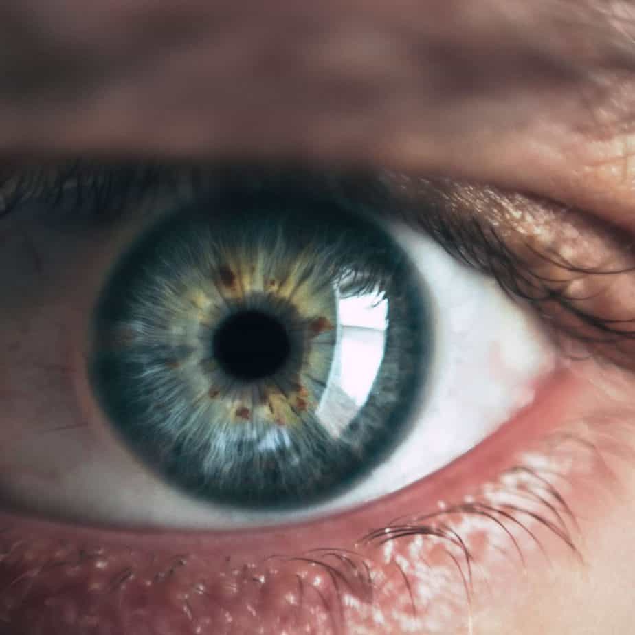 visual object recognition expert testimony