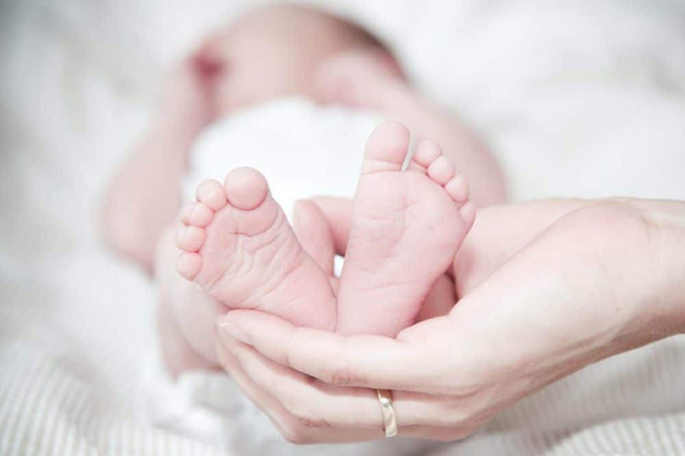 family and medical leave act expert testimony