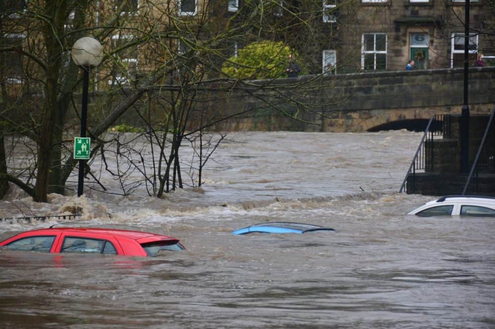 flood damage expert testimony