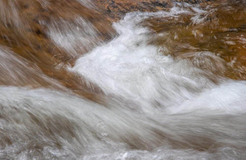 floods expert testimony