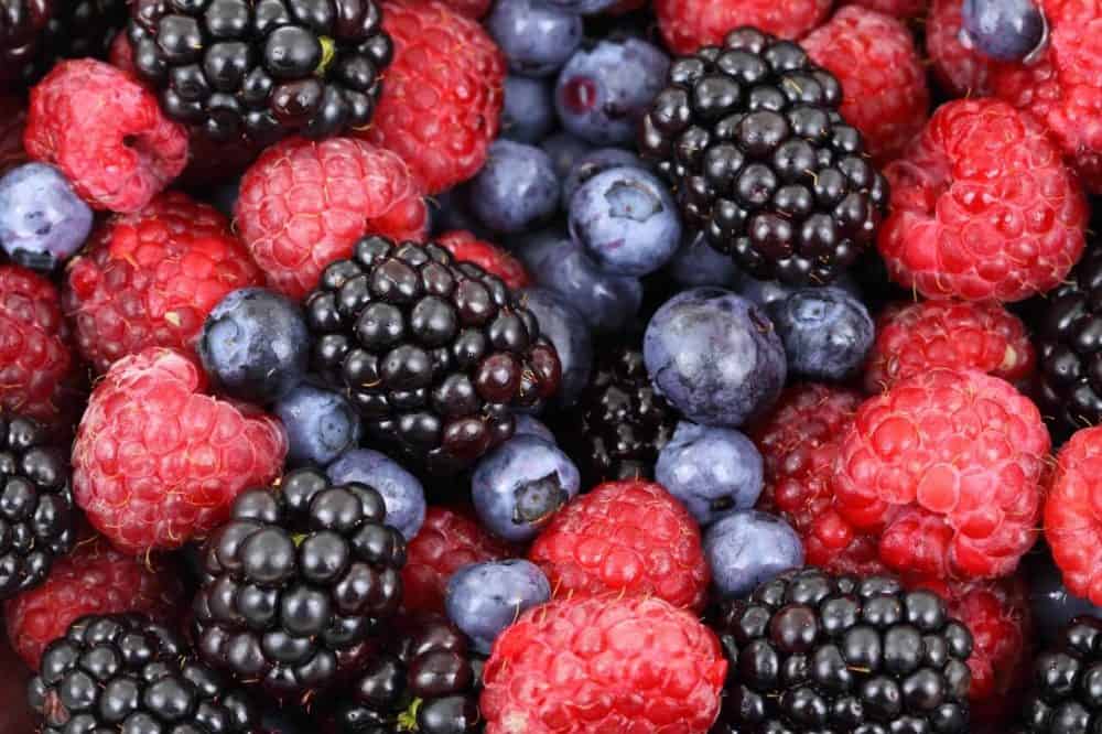 Food Microbiology Food Microbiology