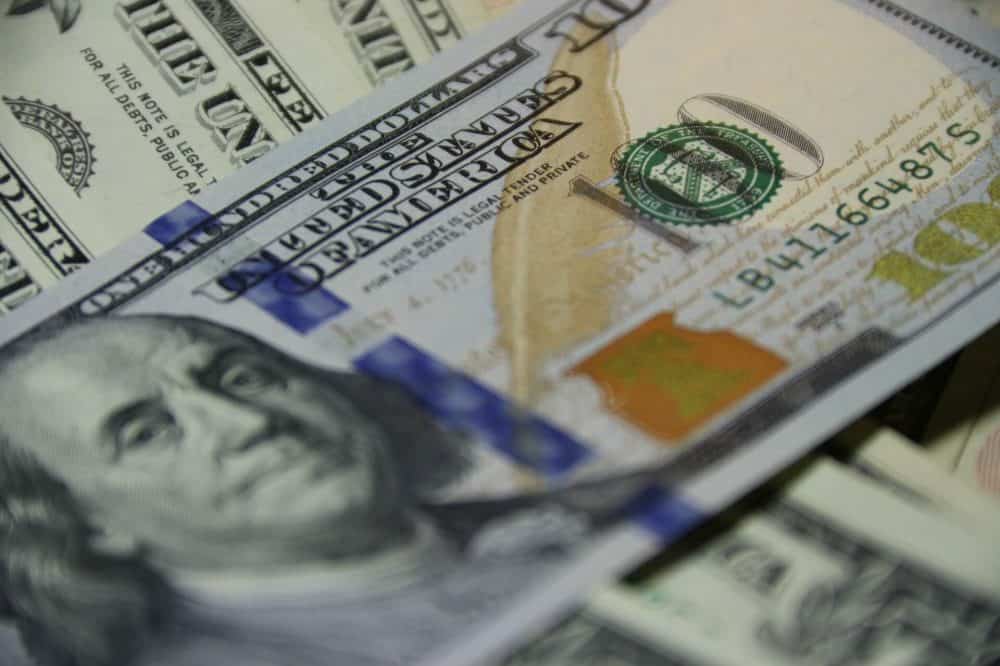 government subsidies expert testimony