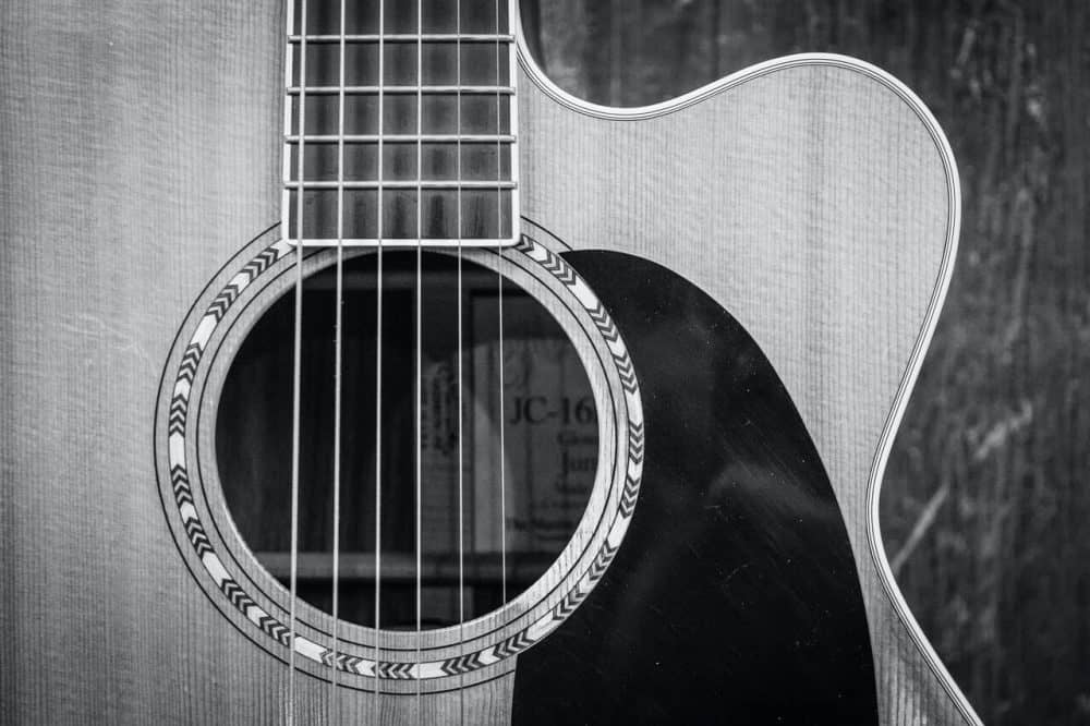 guitars expert testimony