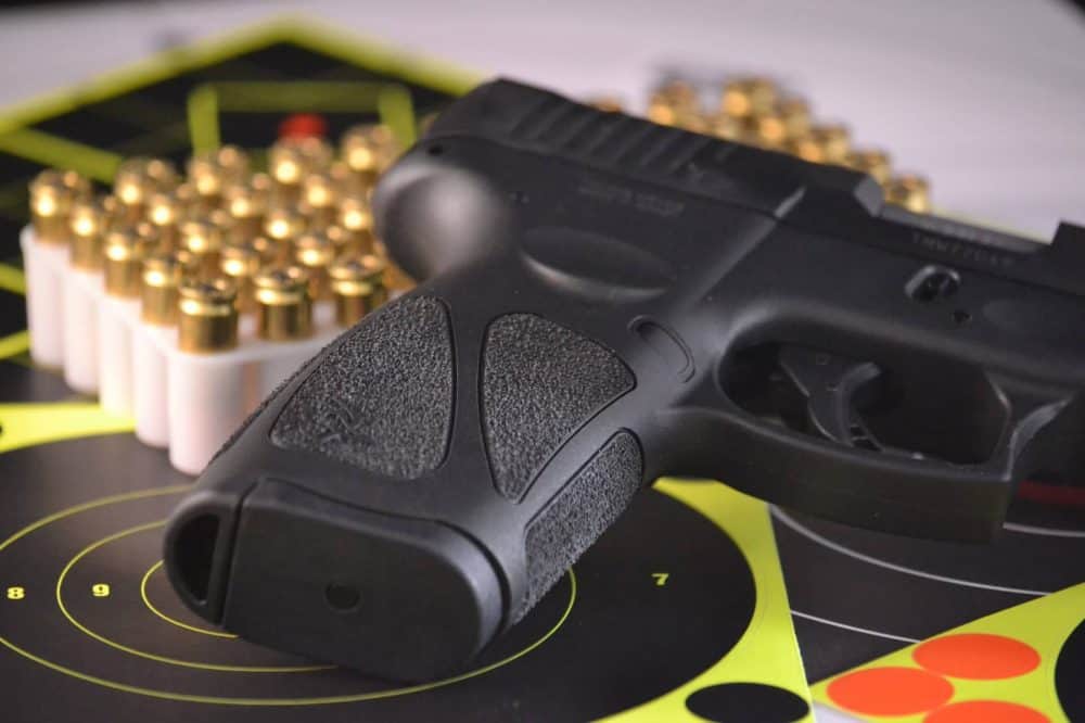 gun rights expert testimony