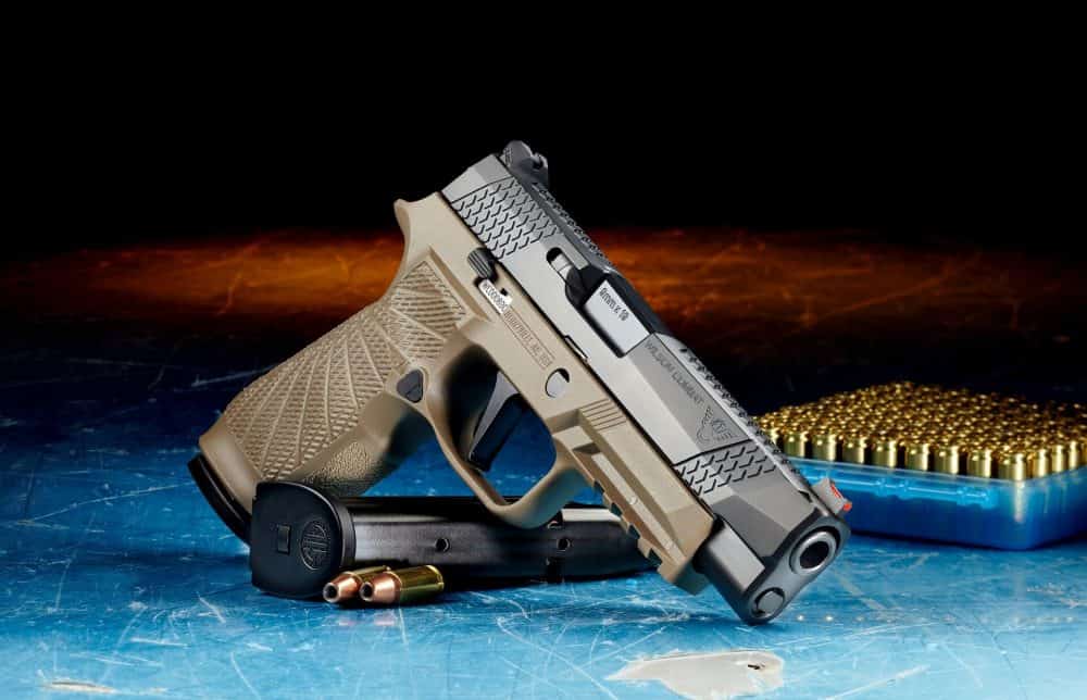 guns expert testimony