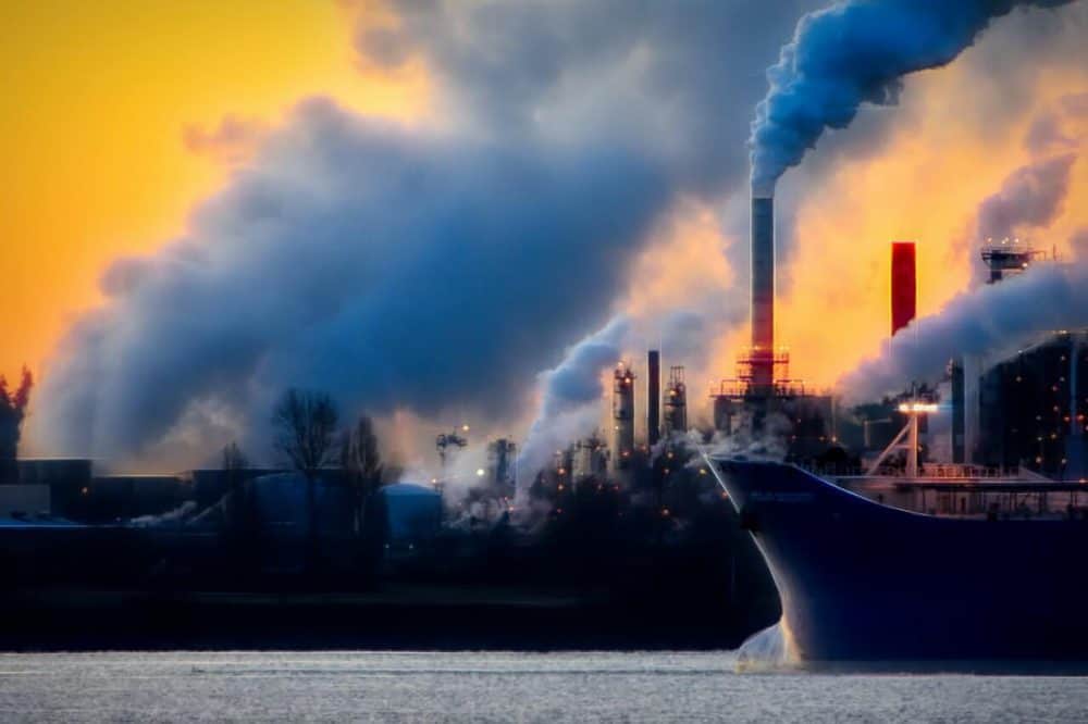 chemical plant management expert testimony