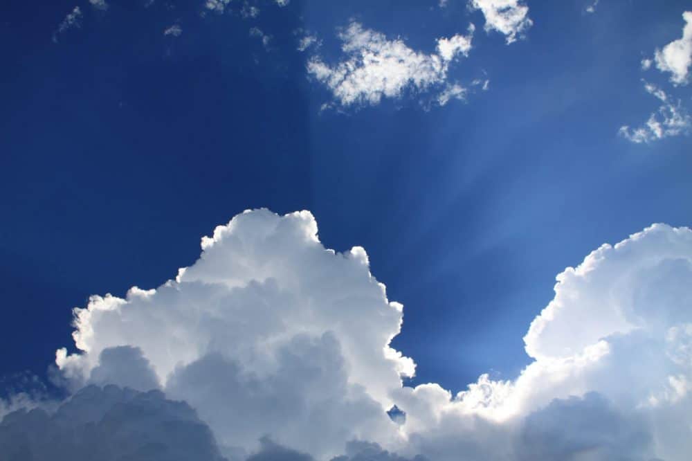 clean air act expert testimony
