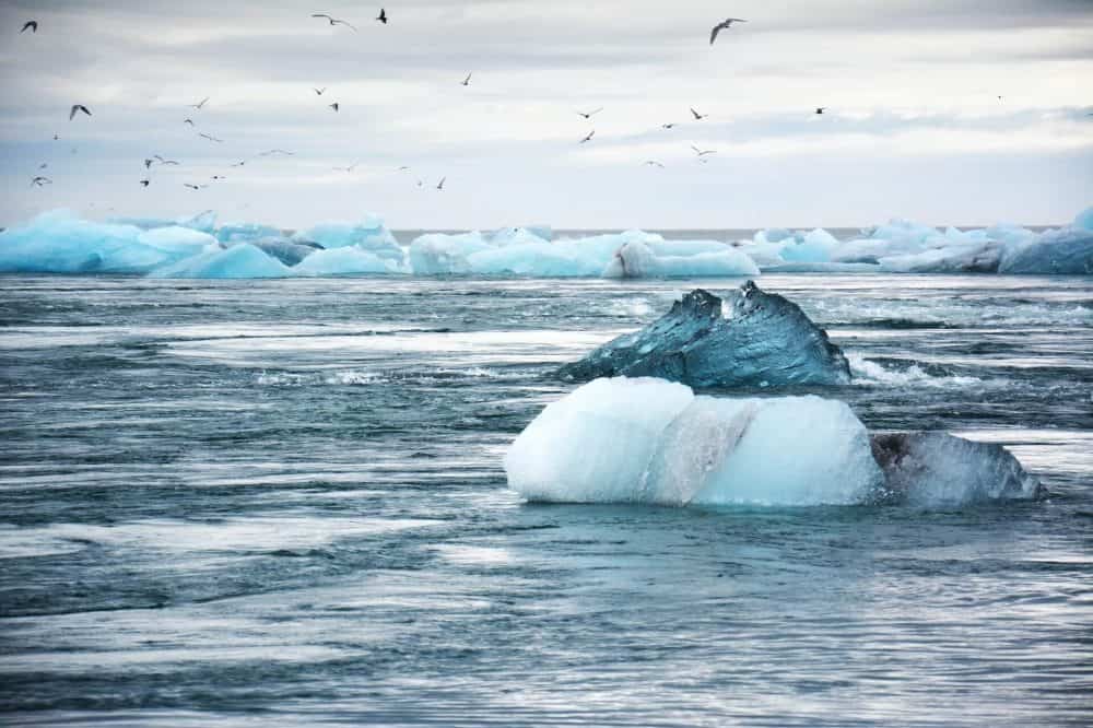 climate expert testimony