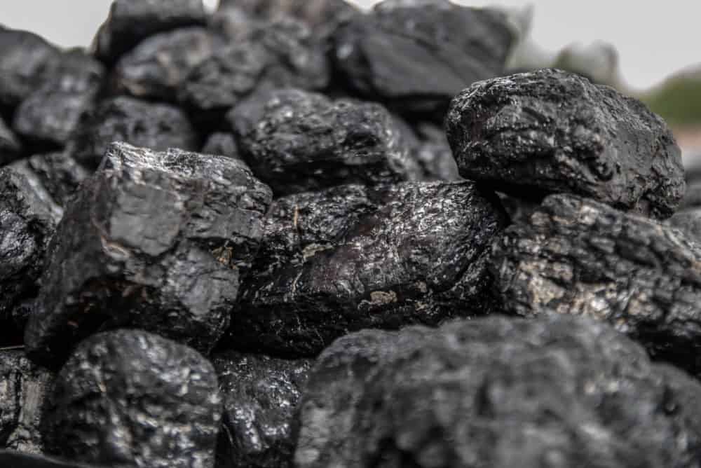 coal expert testimony