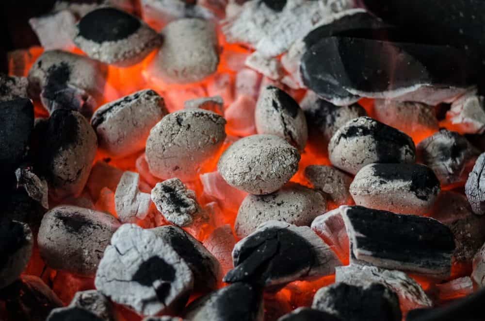 coal industry expert testimony