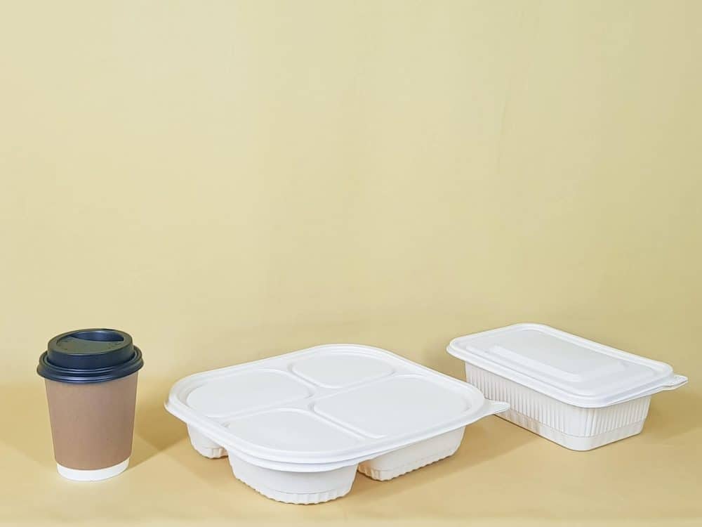 container expert testimony