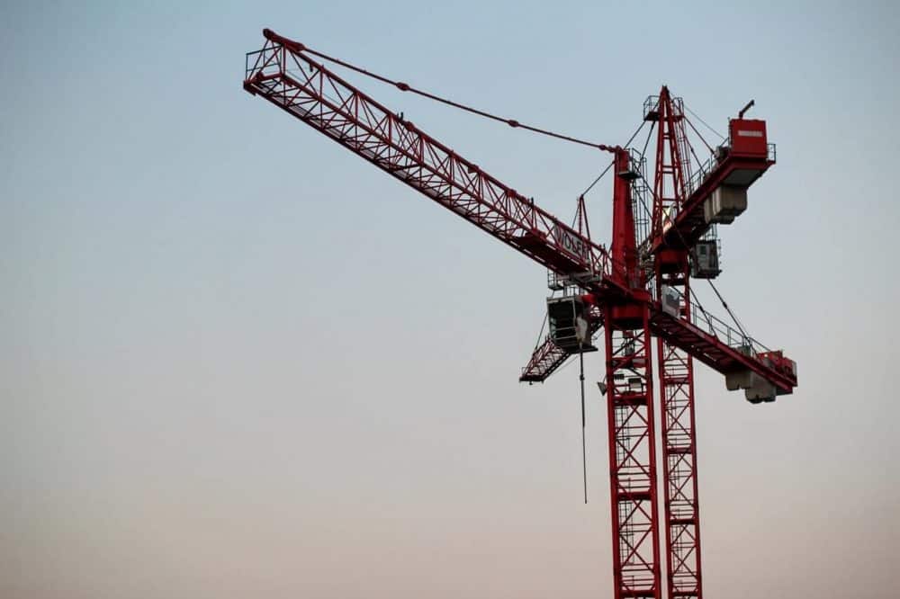 Cranes Cranes