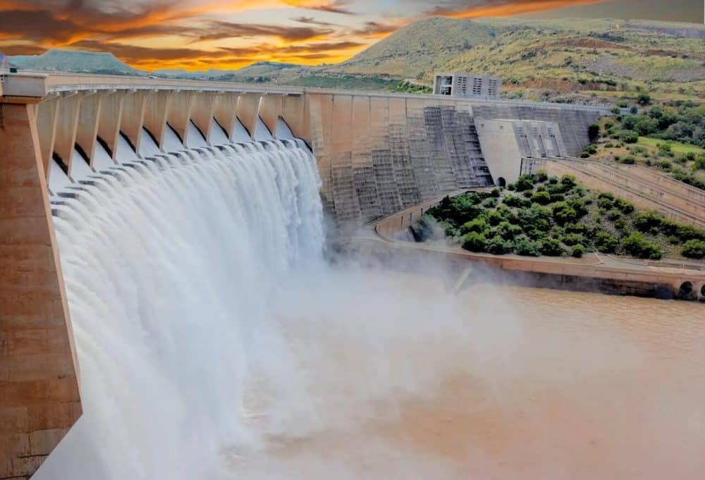 dams expert testimony
