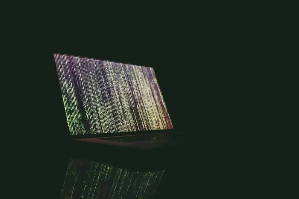 data breach expert testimony