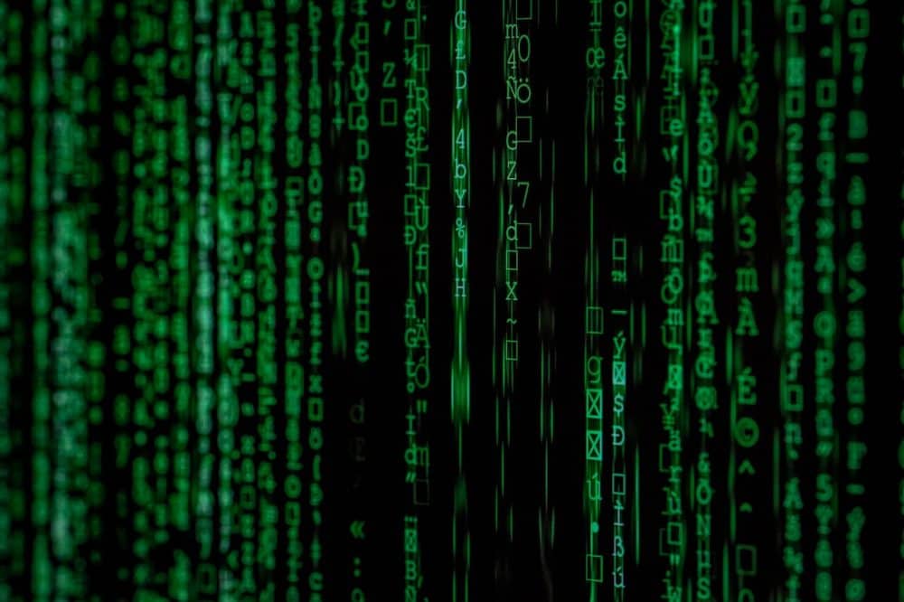 data processing expert testimony