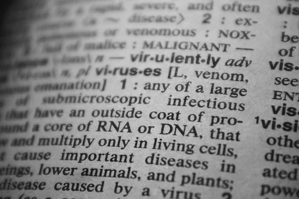 DNA DNA