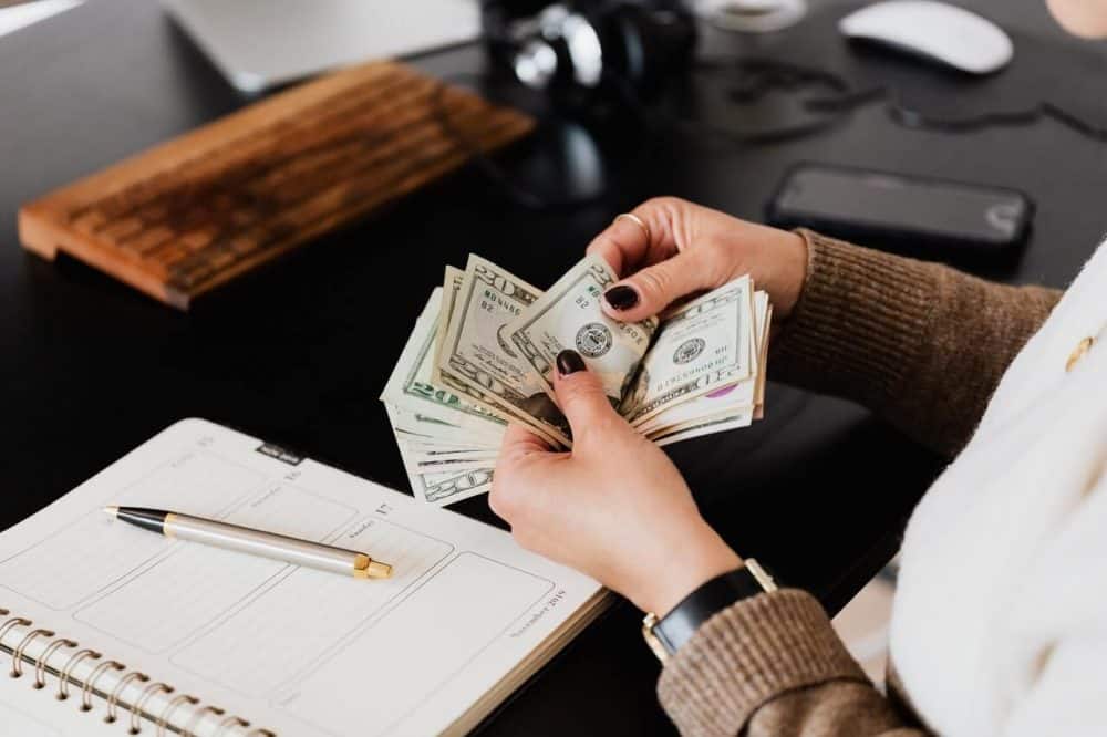 earnings loss expert testimony