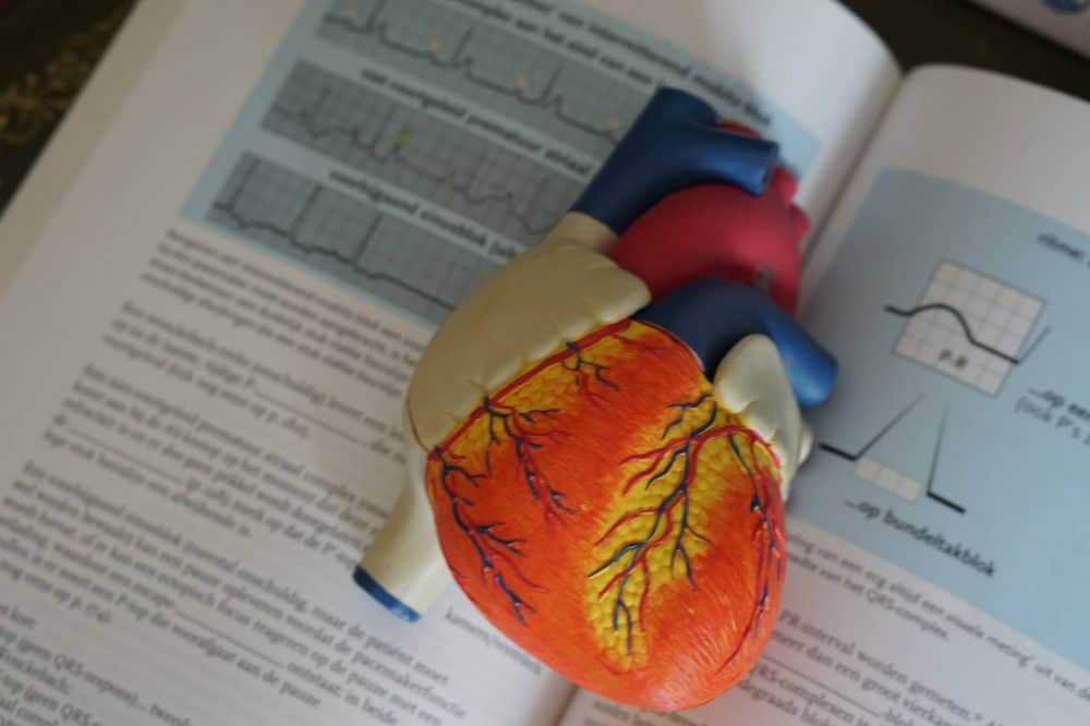 electrophysiology expert testimony