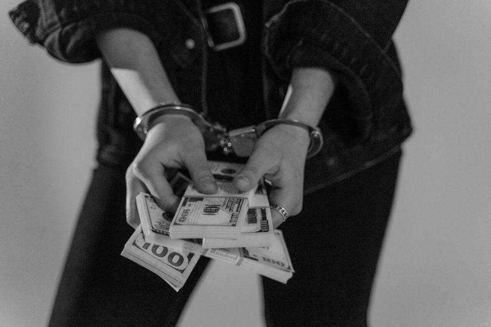 employee theft expert testimony