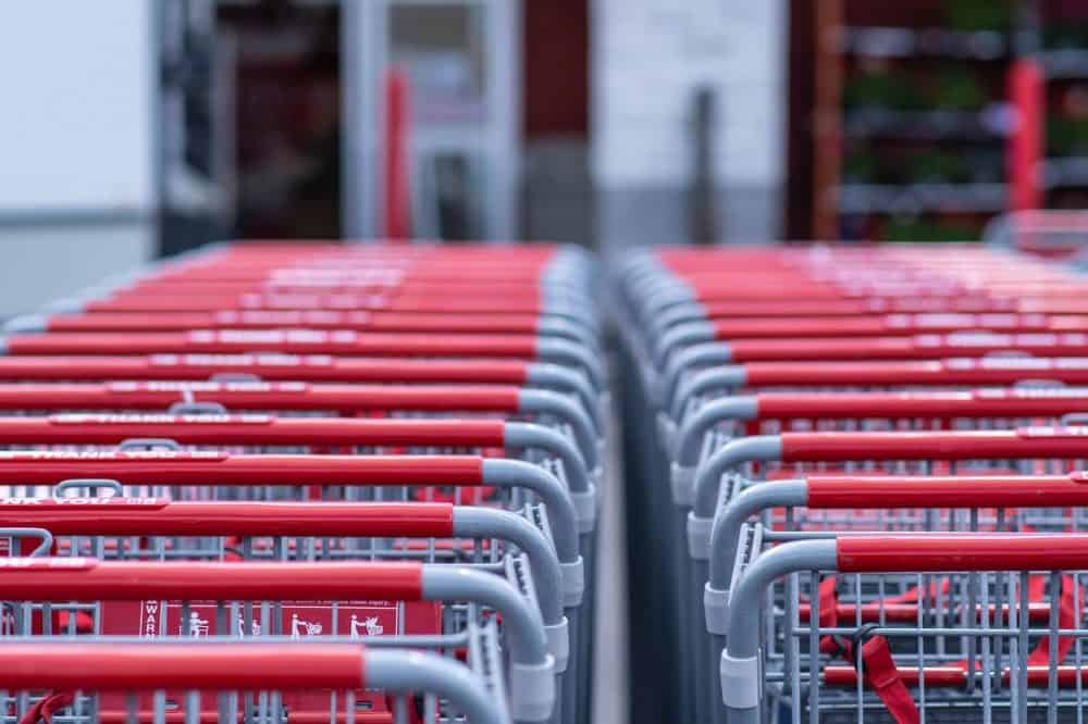big box stores expert testimony