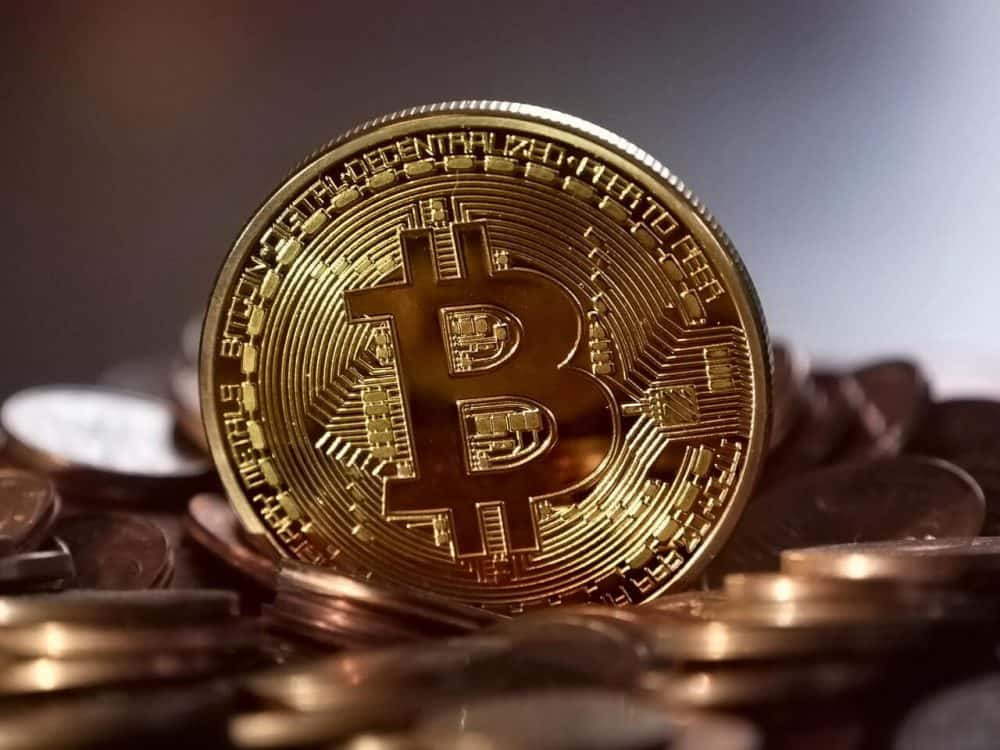 bitcoin expert testimony